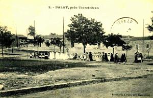 Palat 03